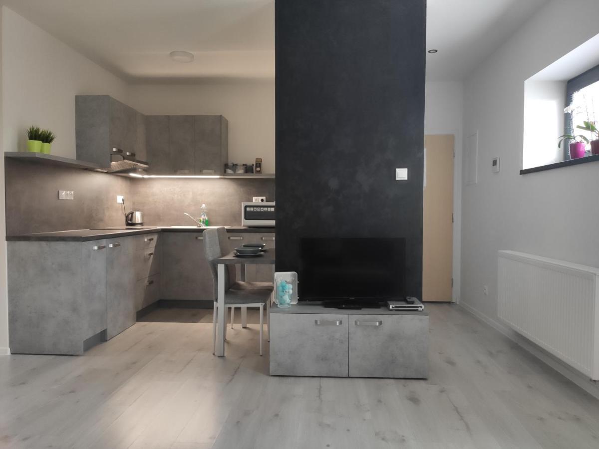 Apartman Kuzmanyho Zilina Centrum Exterior foto